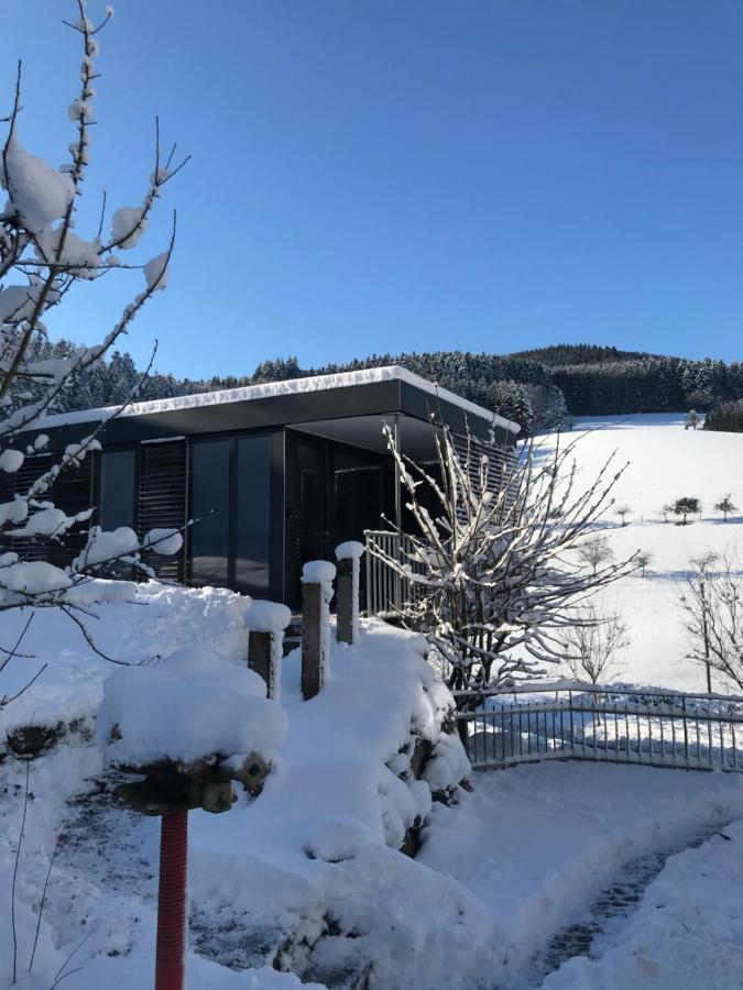 S-Suite Das Design-Ferienhaus Im Schwarzwald Biberach  Exteriör bild